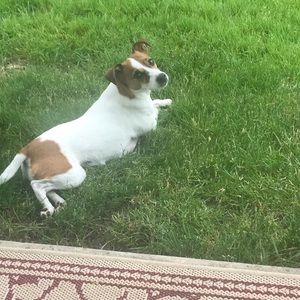 Meet your Posher, Jill